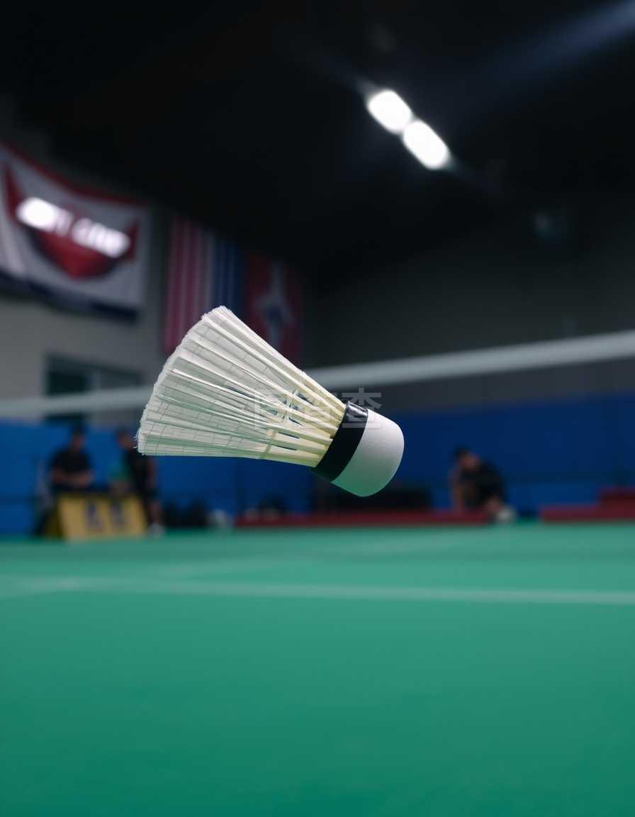 我可以帮你 我可以帮你